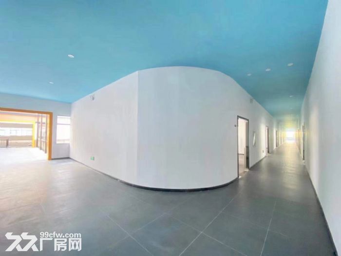 沿街精装办公招租 各类教育培训  影视传媒公司  网红直播基地-图4