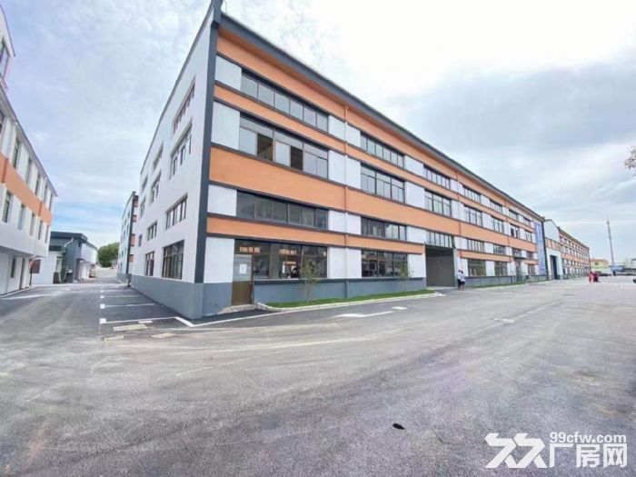 沿街精装办公招租 各类教育培训  影视传媒公司  网红直播基地-图6