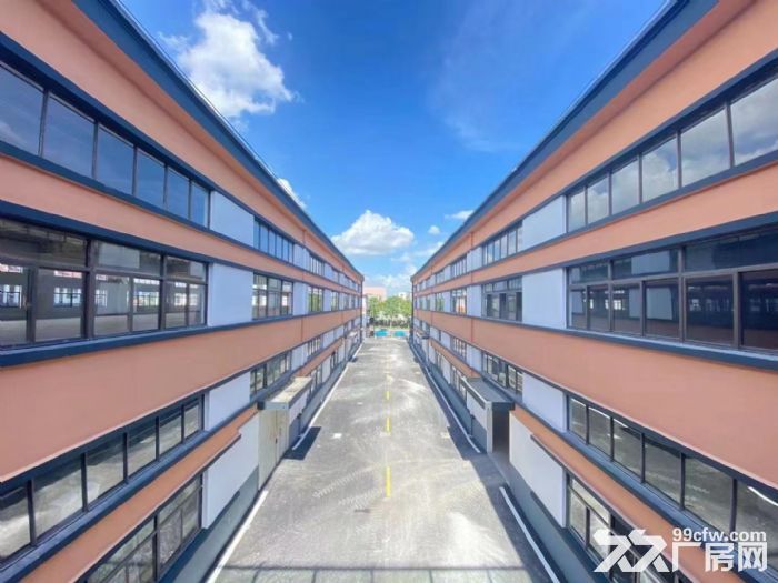 沿街精装办公  淘宝电商  花园式厂房  大小可分割-图2