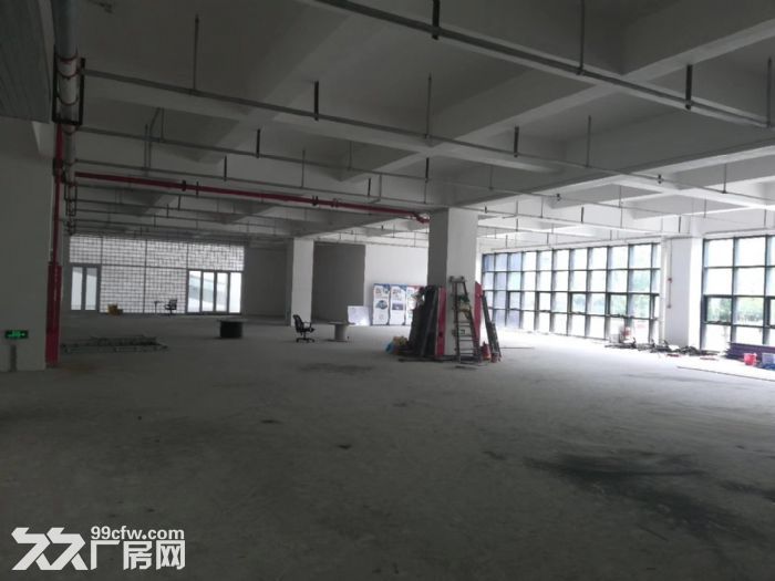 张江广兰路地铁站 底楼1000平 马路沿线展厅出租-图5