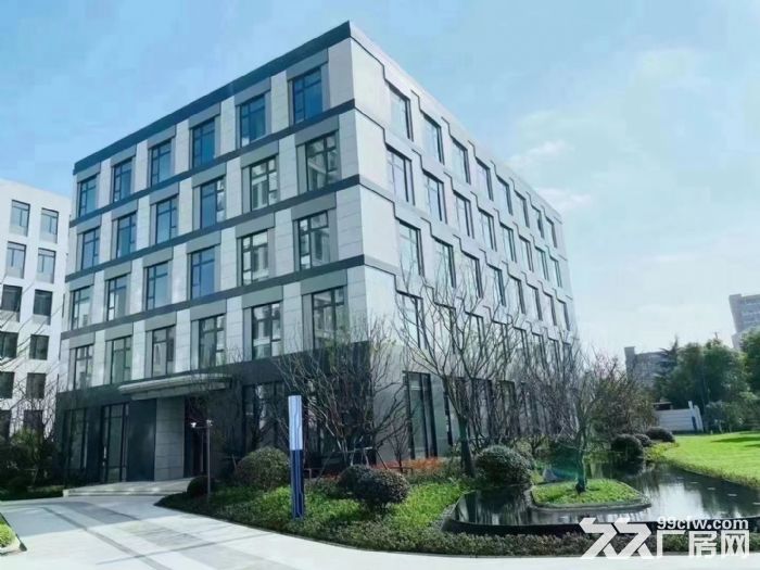 可租可售全新独栋厂房 开发商直出  有政府扶持-图2