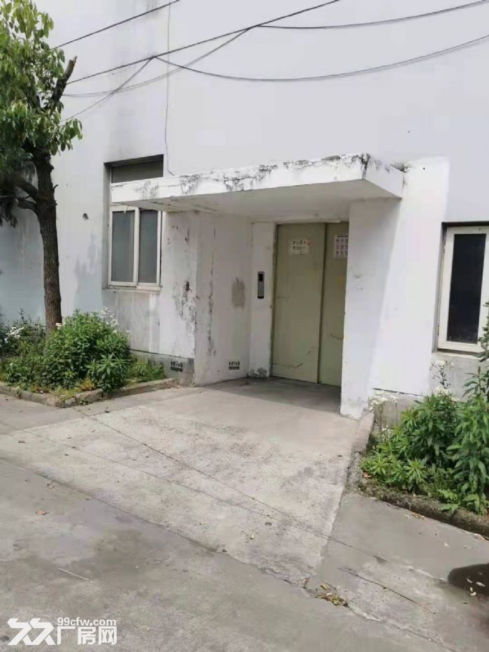 一房东无公摊，南九亭独立层面860平方厂房仓库出租，园区还剩4000平方左右-图3