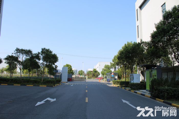 临港新片区 标准厂房出租 开发商直接招商 欢迎企业入驻！-图2