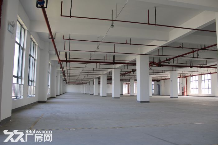 临港新片区 标准厂房出租 开发商直接招商 欢迎企业入驻！-图3