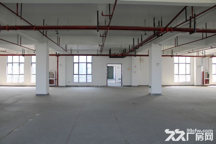 临港新片区 标准厂房出租 开发商直接招商 欢迎企业入驻！-图5