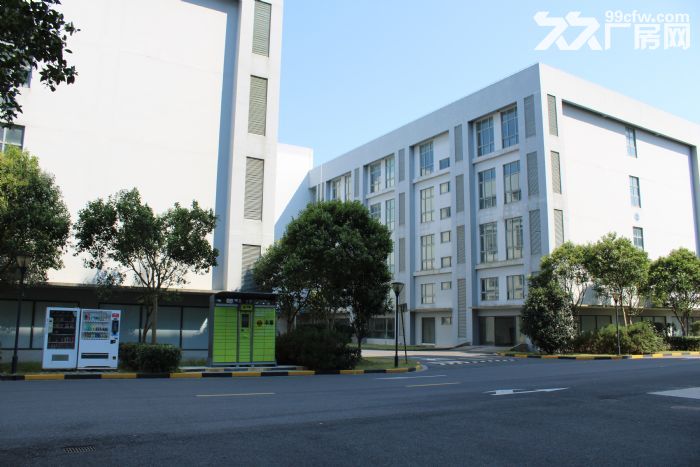 临港新片区 标准厂房出租 开发商直接招商 欢迎企业入驻！-图4