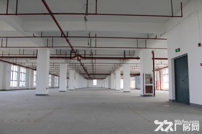 临港新片区 标准厂房出租 开发商直接招商 欢迎企业入驻！-图6