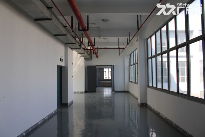 临港新片区 标准厂房出租 开发商直接招商 欢迎企业入驻！-图7