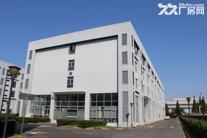 临港新片区 标准厂房出租 开发商直接招商 欢迎企业入驻！-图8