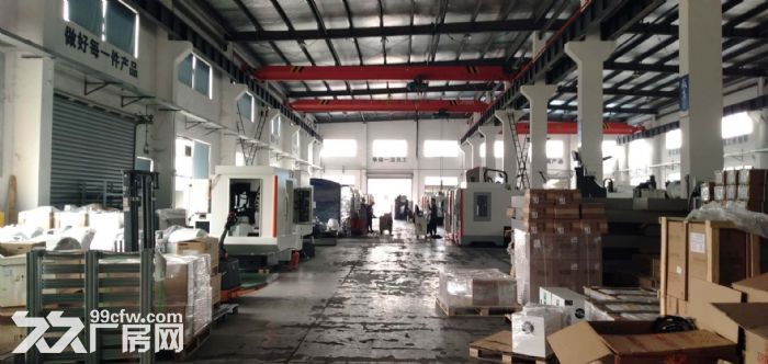 出租 横泾独栋2900方单层带行车-图6