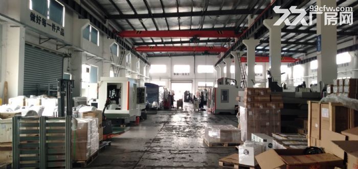 出租 横泾独栋2900方单层带行车-图4