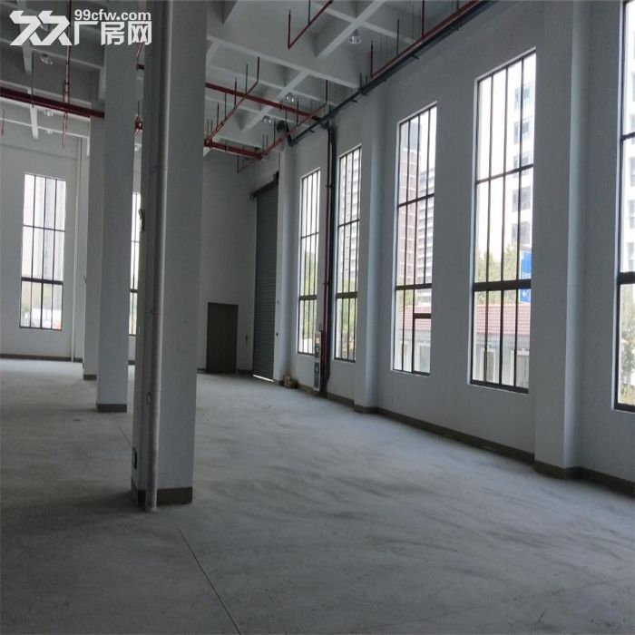 吴江盛泽工业用地20亩出售，建筑面积11000平米-图3