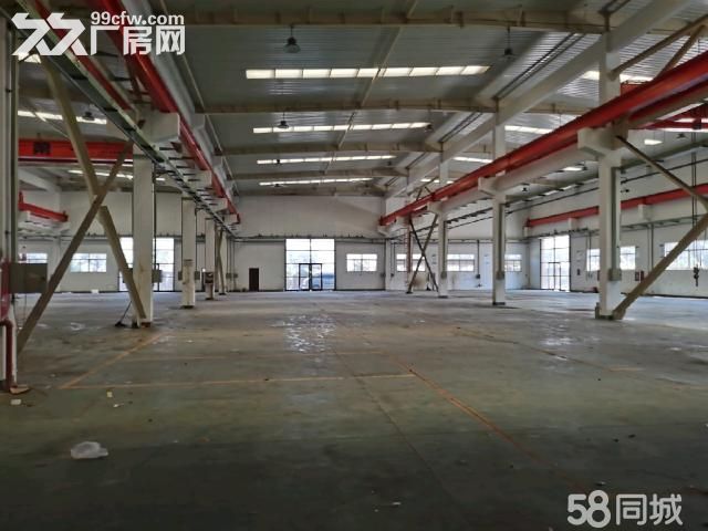 出租常熟支塘独栋单层厂房4000平米 共4栋可分租-图2