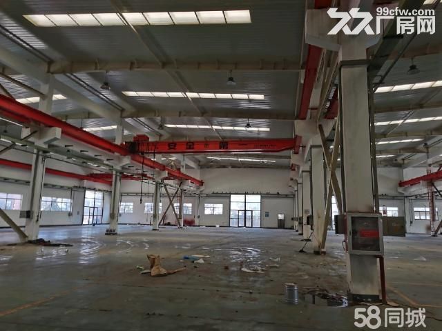 出租常熟支塘独栋单层厂房4000平米 共4栋可分租-图3