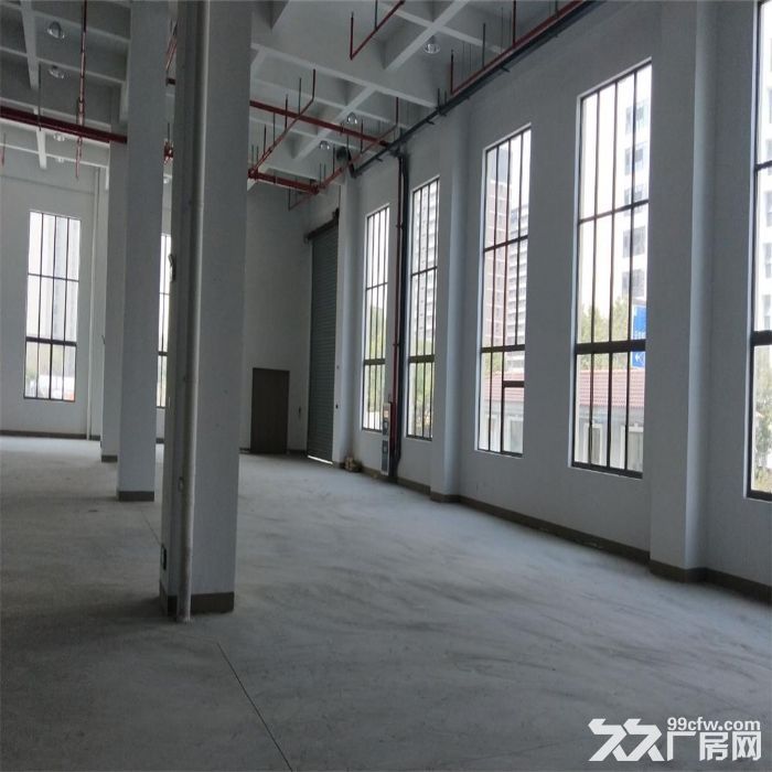 吴江太湖开发区工业集体用地4.5亩，单层厂房建筑面积4020平米出售-图3