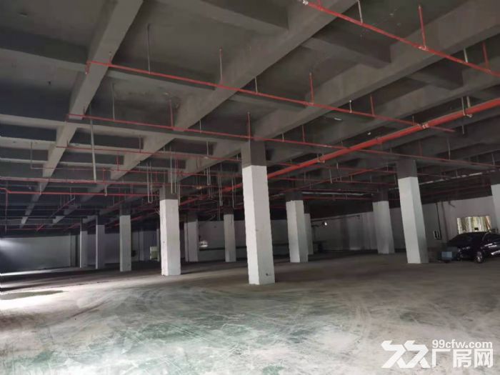 出租 园区金鸡湖2000平米科创园厂房-图1