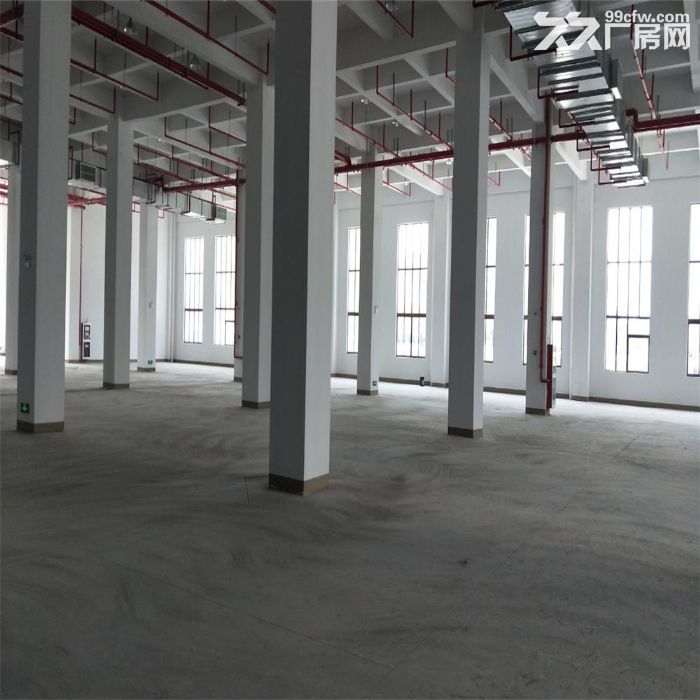 吴江城南双层厂房3300至6600平米出租，层高8米左右-图6