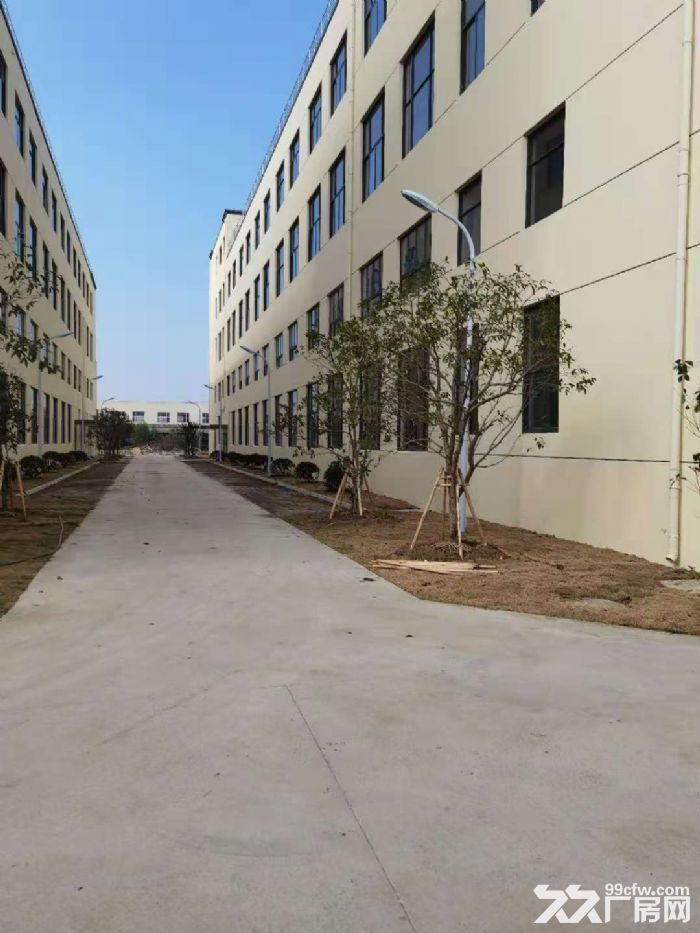 出租 临湖工业区 独门独院1800方1&minus;3层厂房出租 证件齐全-图1