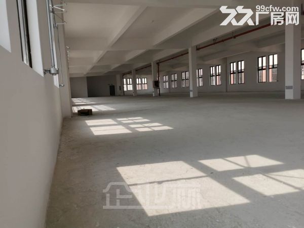 出租 张家港政府3300平全新厂房  价格优/配套齐/形象好-图4