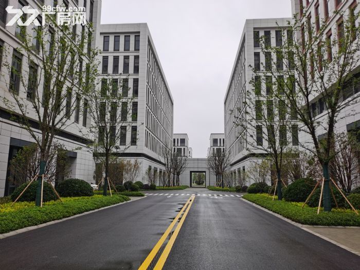 全新生产型厂房出租 形象高大上 配套齐全 高架路旁近地铁-图1