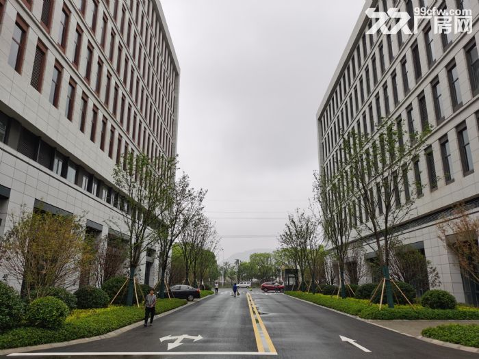 全新生产型厂房出租 形象高大上 配套齐全 高架路旁近地铁-图2