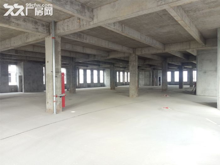 急！急！急！急招租，出售。-图3