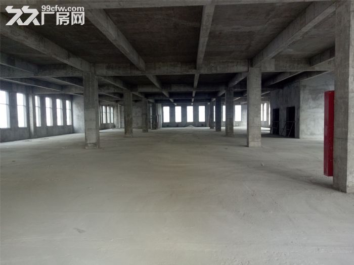 急！急！急！急招租，出售。-图4