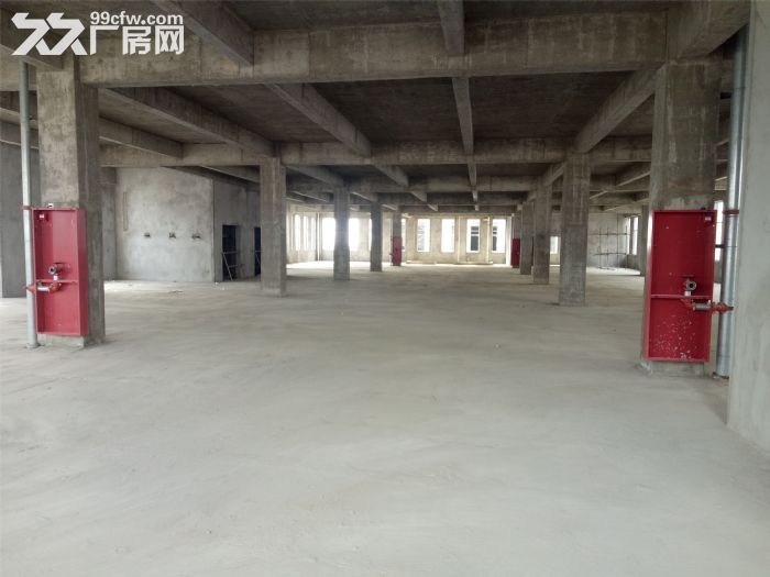 急！急！急！急招租，出售。-图5