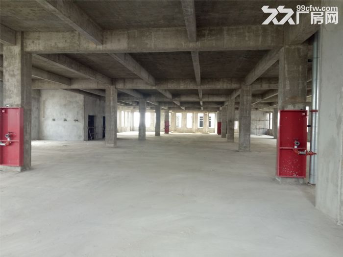 急！急！急！急招租，出售。-图7