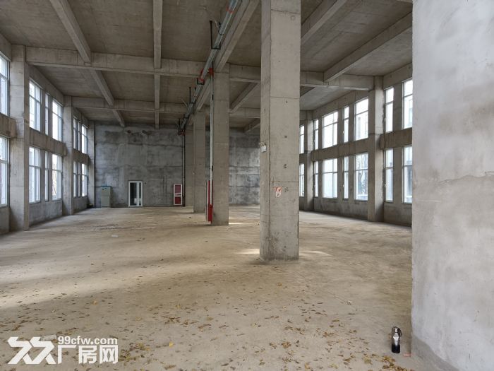 狮山新建厂房出租，个人自建厂房-图2