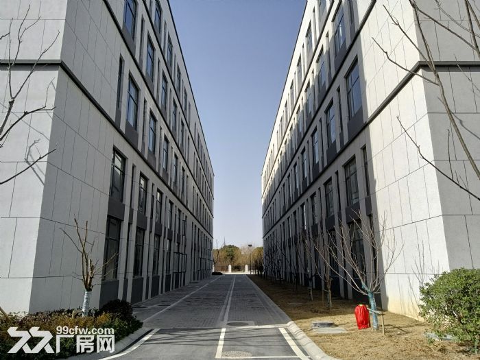 狮山新建厂房出租，个人自建厂房-图6