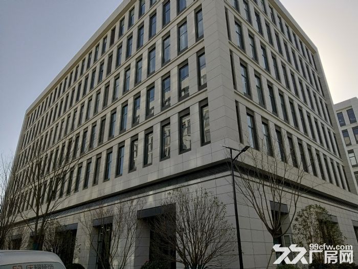 狮山新建厂房出租，个人自建厂房-图5