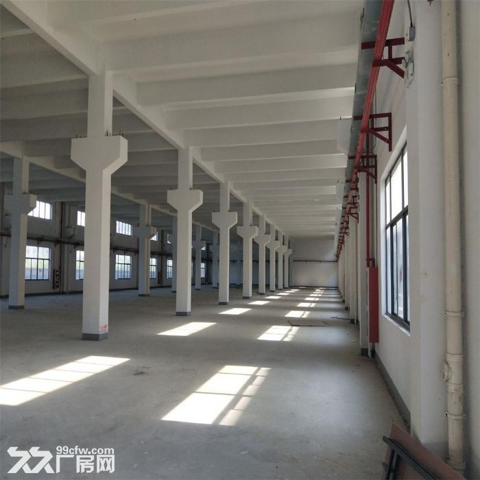 房东直招 吴江开发区黎里底层厂房1750平米，层高9米-图3