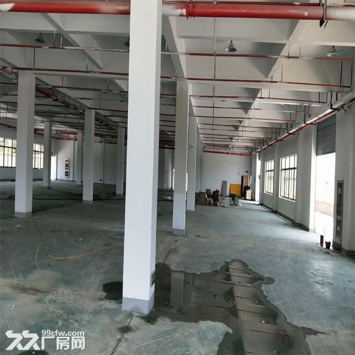 房东直招，吴江开发区友谊路5500平米-图4