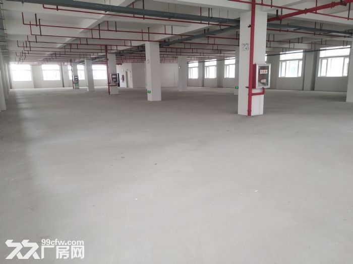 浦口开发区全新厂房可分租-图1