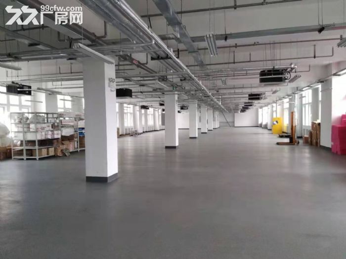 浦口开发区全新厂房可分租-图2