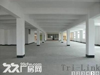 个人.上坊二楼1500平米.厂房.仓库.有2吨货梯-图4