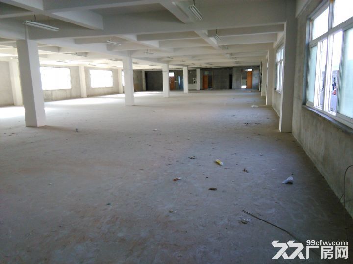 秣陵多处厂房出租，面积900−−45-图2