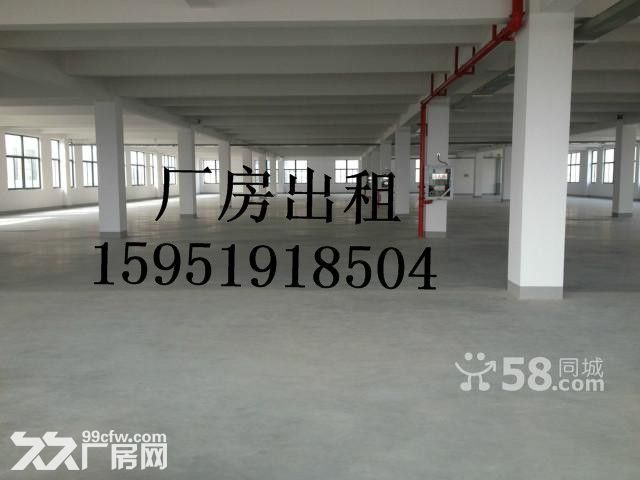 秣陵多处厂房出租，面积900−−45-图6