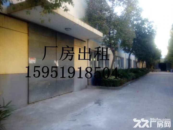 秣陵多处厂房出租，面积900−−45-图8