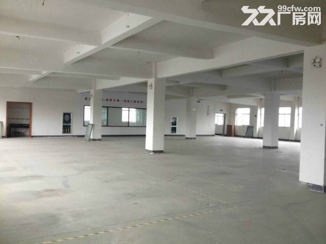 (出租) 个人.江宁1到3楼21000平米独栋厂房-图1