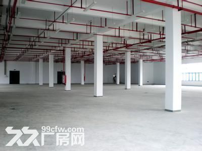 个人.双龙大道旁二楼2800平米电子加工厂房.已精装修-图8