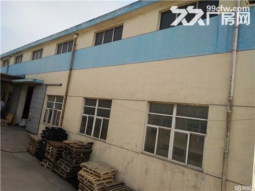 单层厂房3000平出租，高10米，可分租1000起-图2