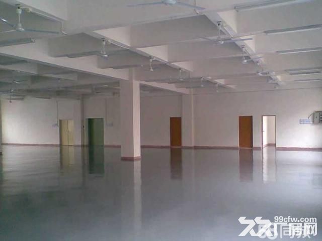 个人.上坊一楼2300平米标准厂房出租-图1