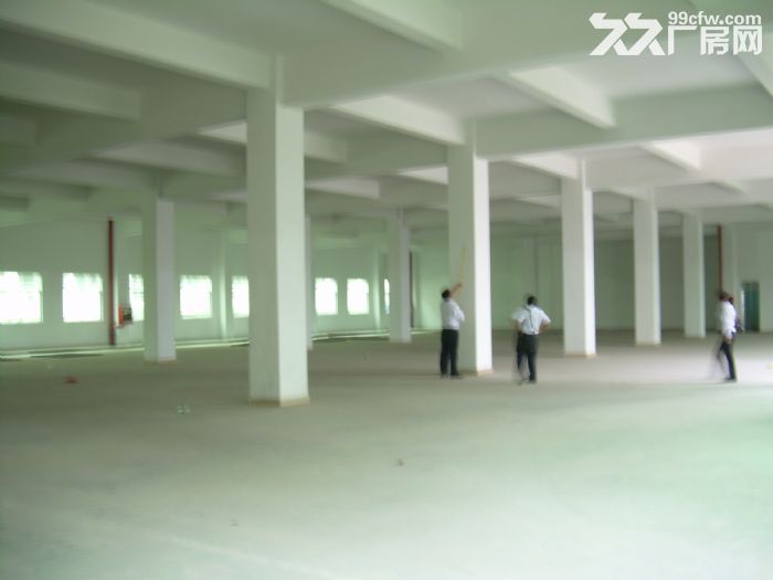个人.东善桥1到4楼7000平米新建标准厂房出租，1700平米/层-图3