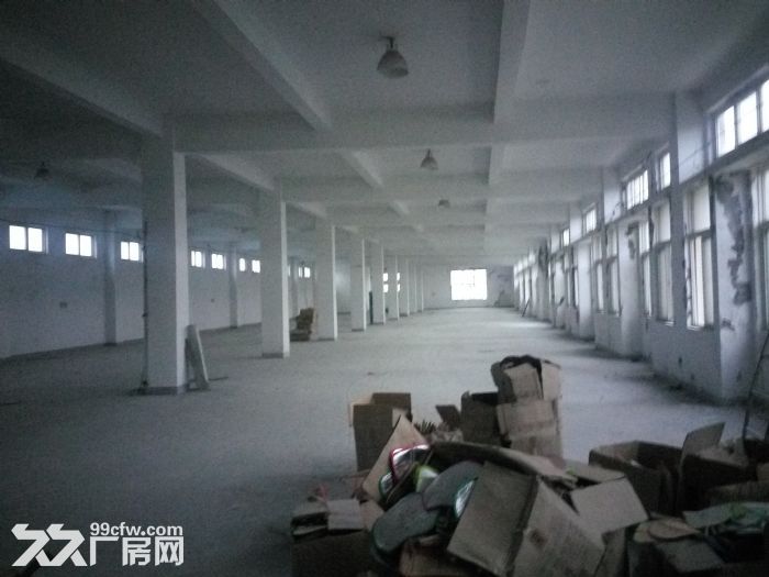 东山药品仓库3200平方厂房招租，高5.5米  符合药品仓库-图1