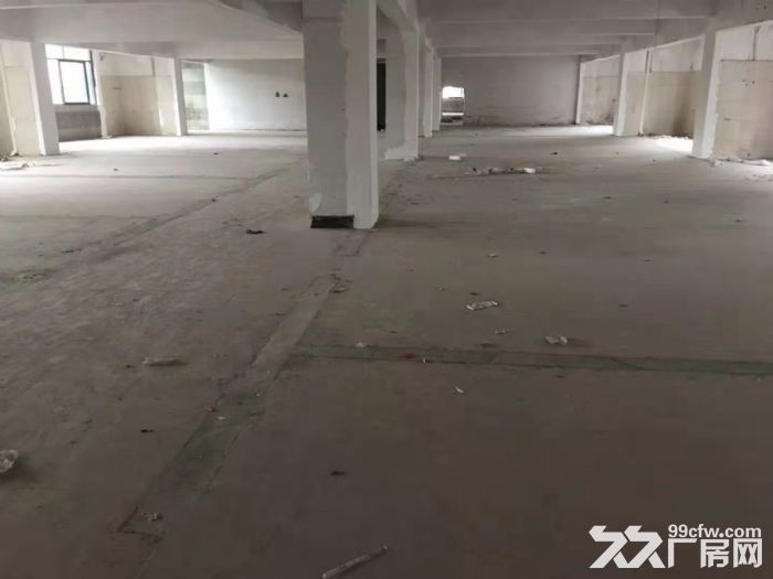 增城区新塘镇牛仔城附近二楼1100方 .无公摊，电商，包装客户的福音.刚出.速度-图2