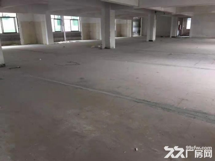 增城区新塘镇牛仔城附近二楼1100方 .无公摊，电商，包装客户的福音.刚出.速度-图3
