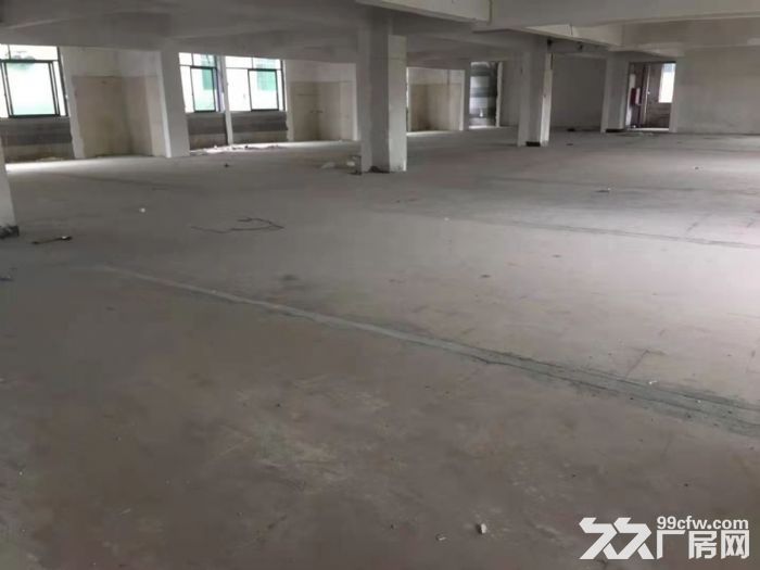 增城区新塘镇牛仔城附近二楼1100方 .无公摊，电商，包装客户的福音.刚出.速度-图1
