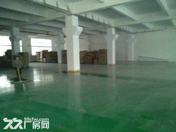 雅瑶标准一楼1400平米招租-图2